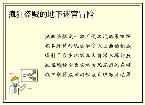 疯狂盗贼的地下迷宫冒险 疯狂盗贼的地下迷宫冒险